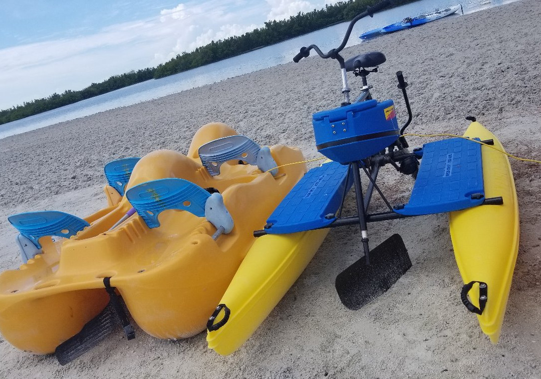 Tigertail Beach Kayak and Paddleboard Rentals景点图片