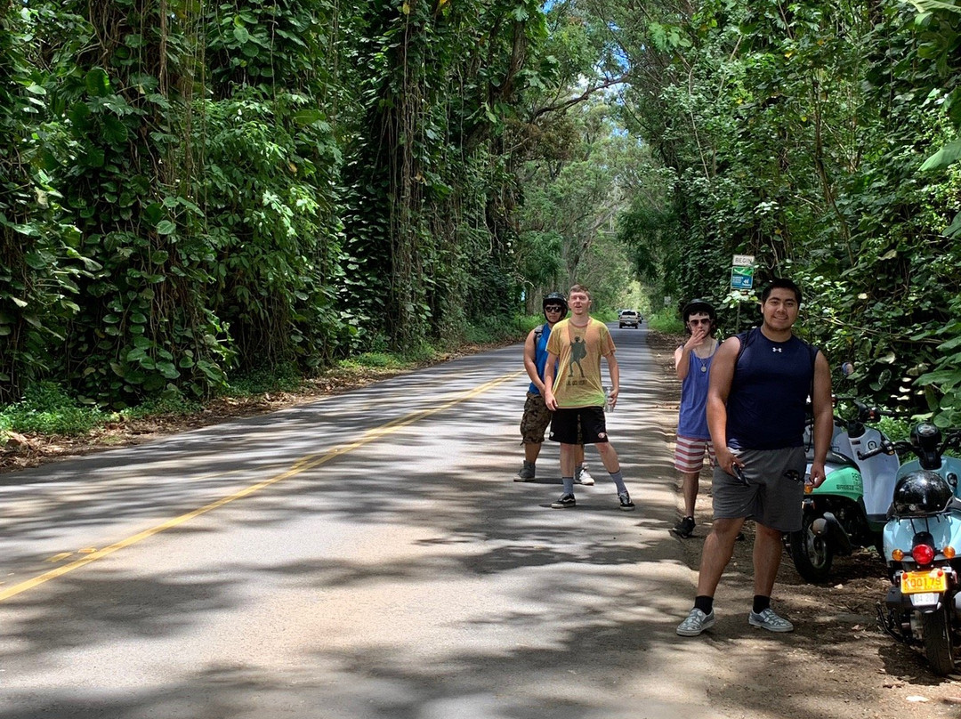 Kauai Mopeds-利胡埃必去景点