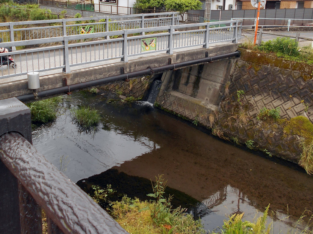 Hotarumi Bridge-由布市必去景点