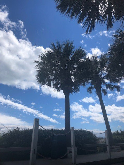 邵克里斯特度假别墅酒店主图