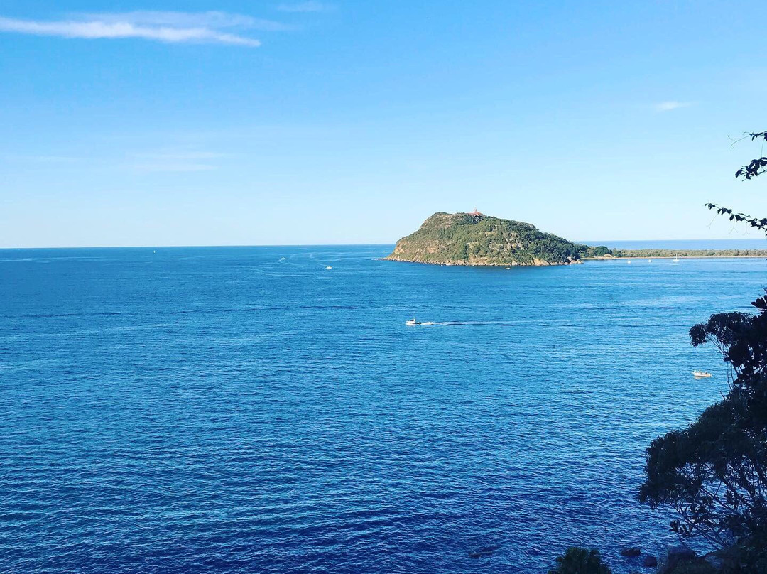 West Head Lookout景点图片