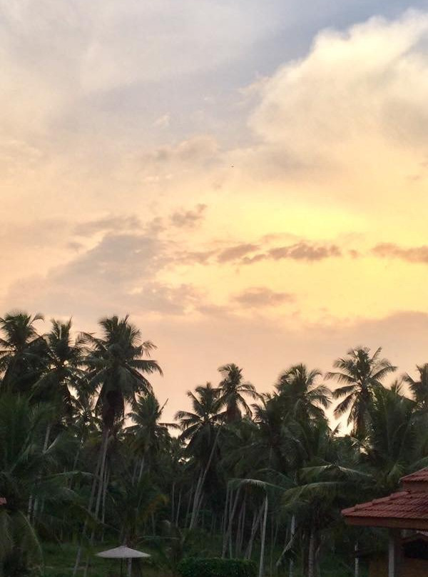 Ambarella Lodge & Spice Garden主图