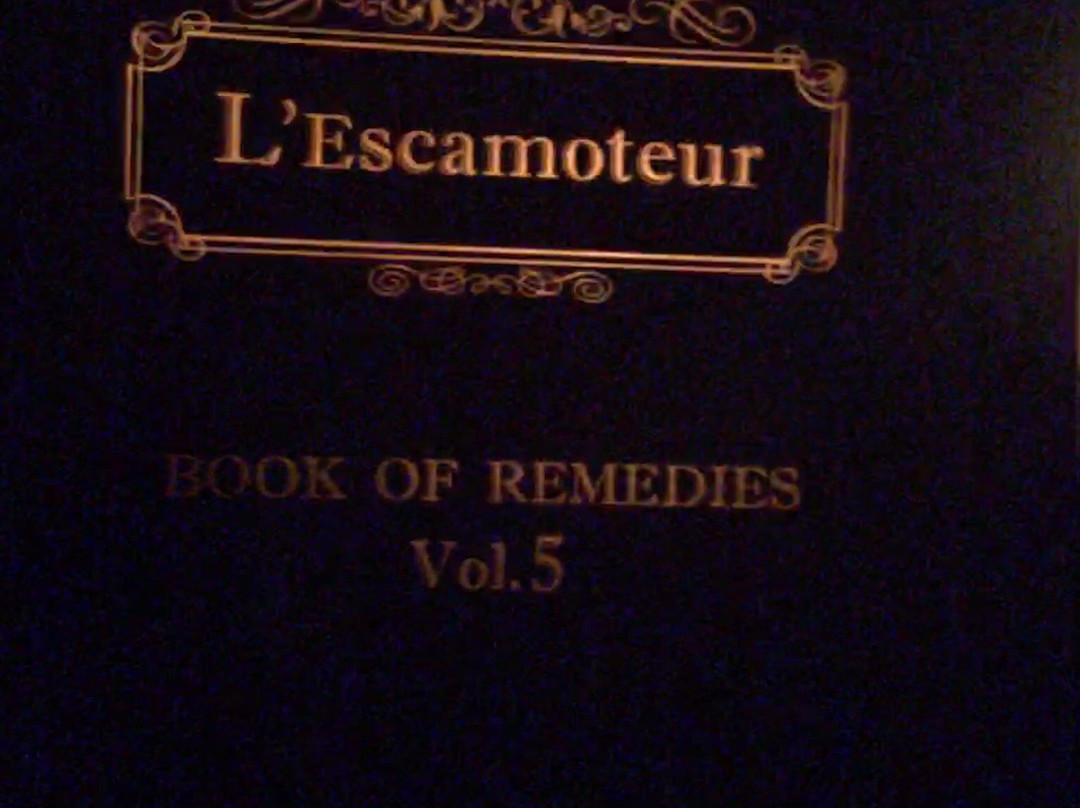 L'Escamoteur酒吧景点图片
