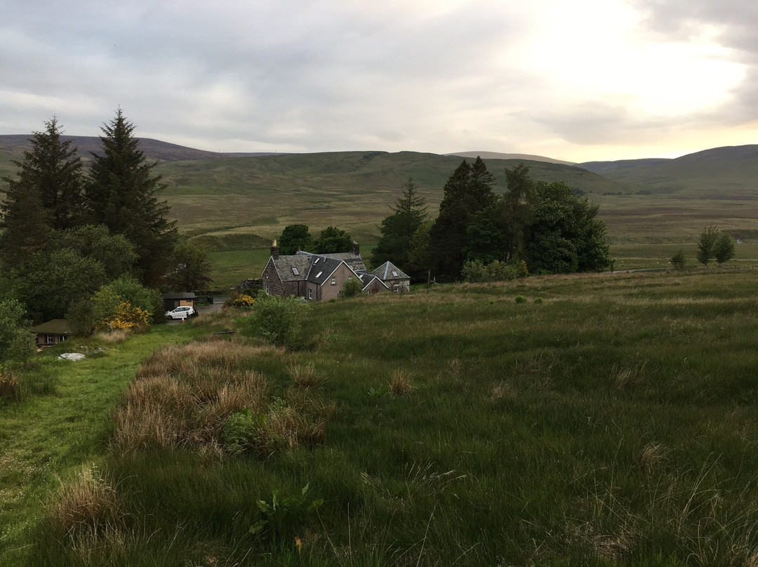 Langside Bed & Breakfast主图