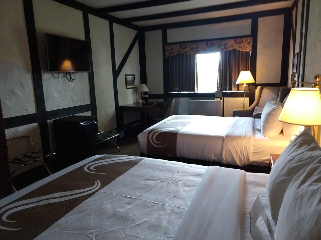 Quality Inn Waddling Dog主图