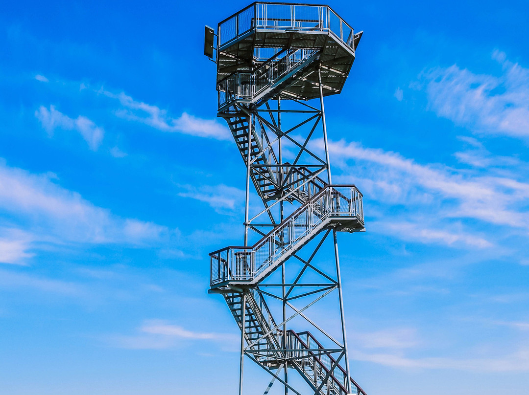 Rubikiai Observation Tower景点图片