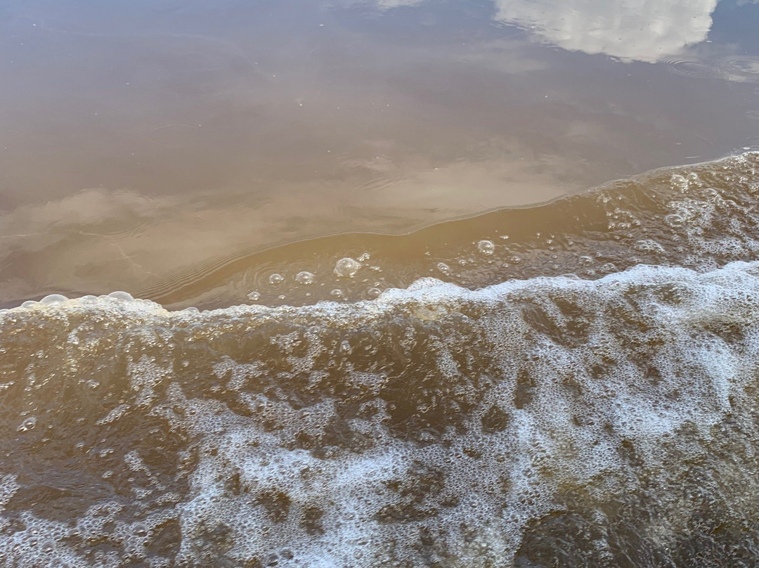 Rio Mamore-Guajara-Mirim必去景点