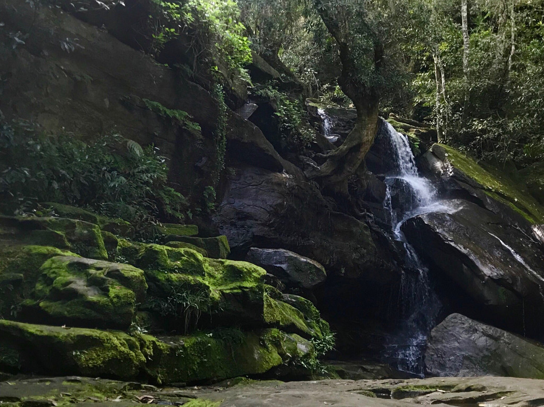 Somersby Falls Picnic Grounds景点图片