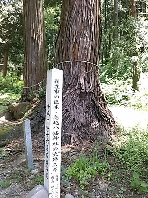 Torigoe Hachiman Shrine-新庄市必去景点