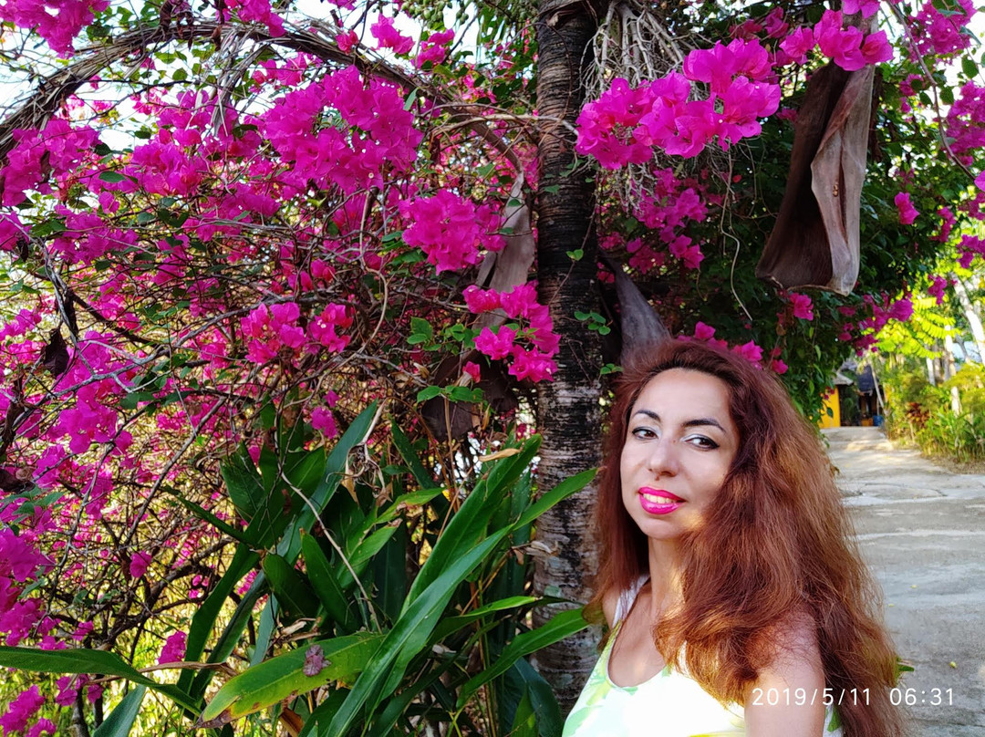 卡萨罗莎酒店主图