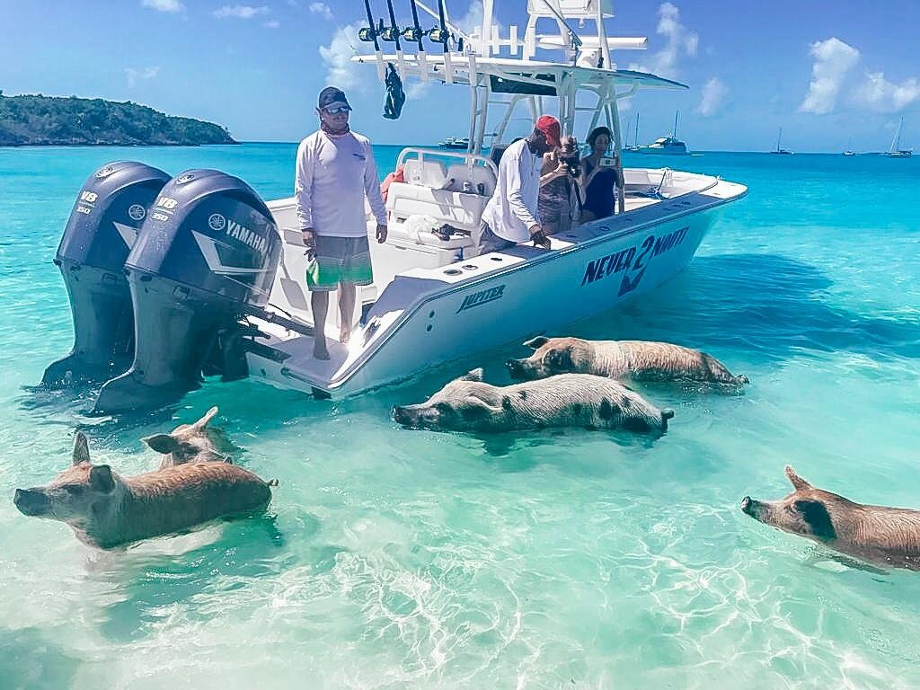 Staniel Cay Yacht Club主图