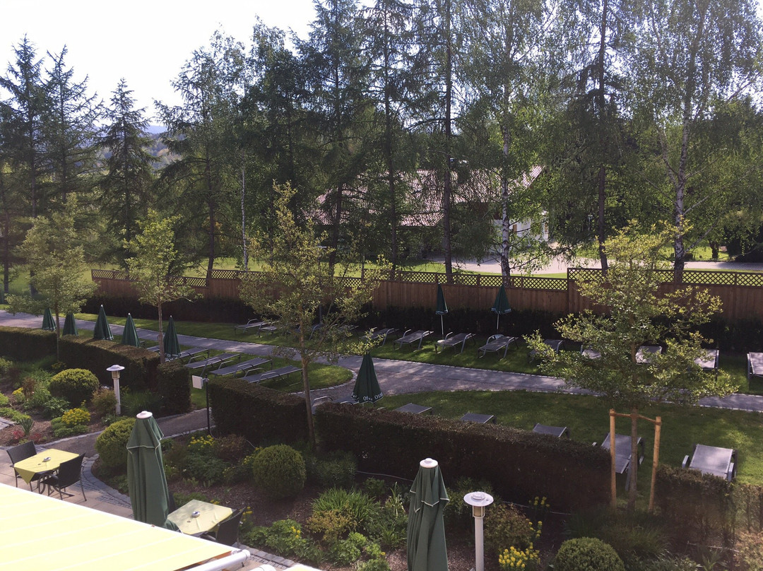 Hotel Herzog Heinrich主图