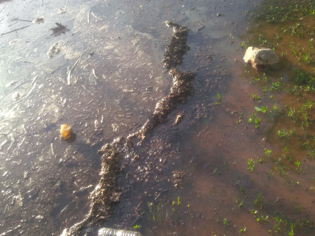 Arcadia Lake-埃德蒙必去景点