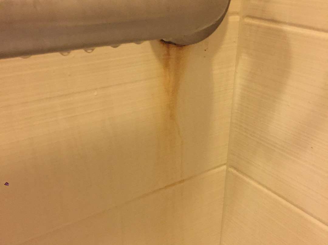 Holiday Inn Express & Suites Largo-clearwater By IHG主图