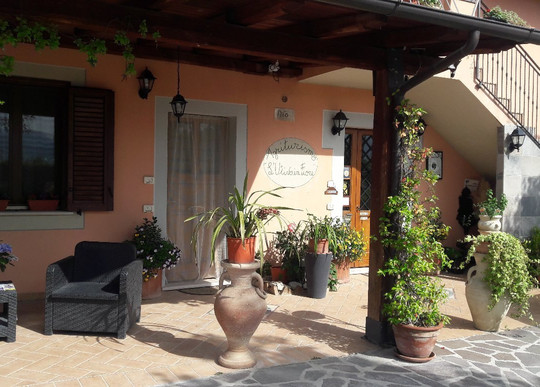 Agriturismo L'Ulivo in Fiore主图