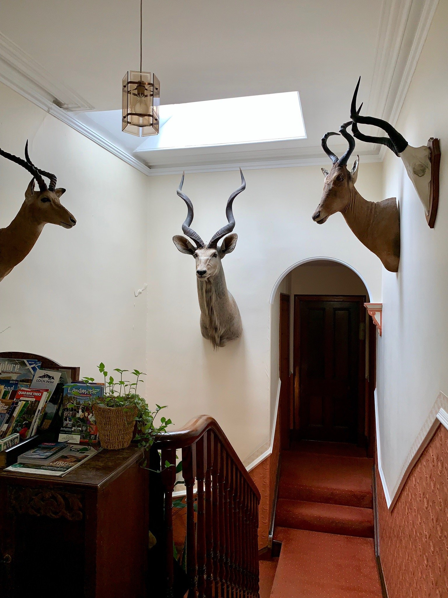 Ardselma B&B-官方
