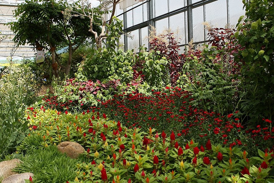 Hampyeong Expo Park - Butterfly Insect Ecosystem-咸平郡必去景点