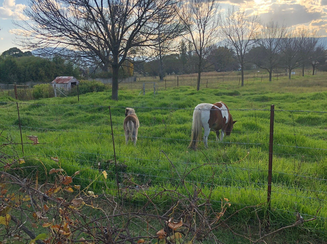 Laventaba Guest House主图