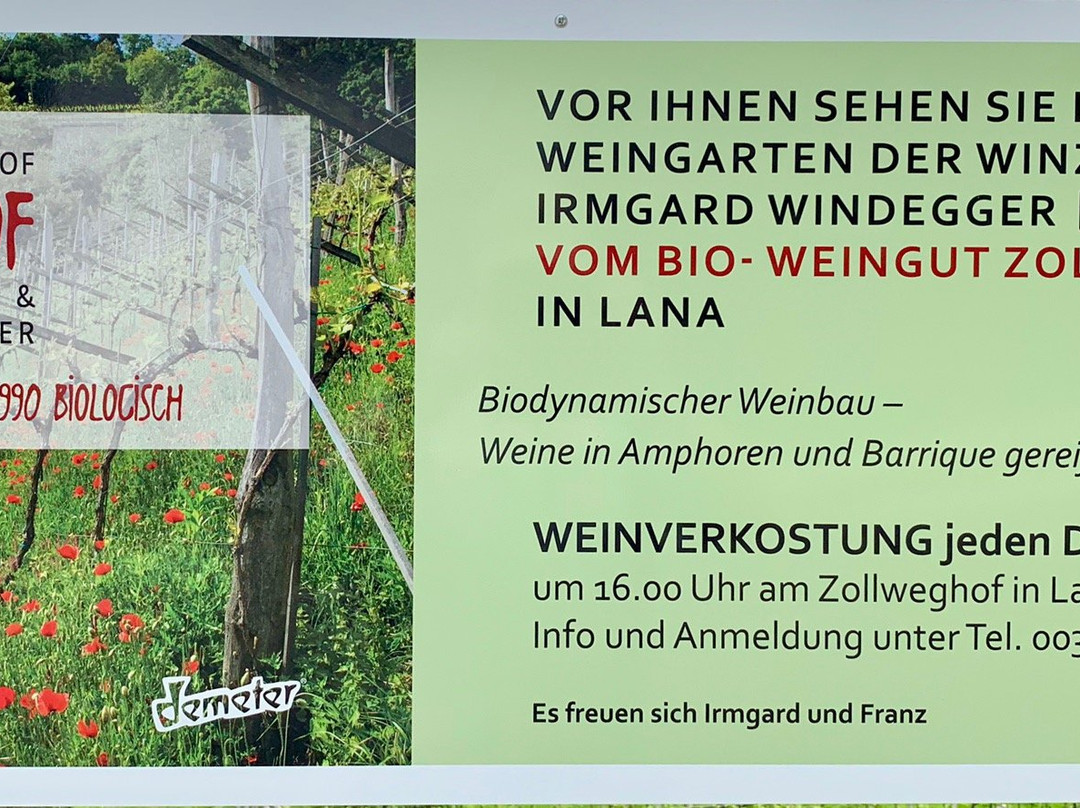 Bioweingut Zollweghof景点图片