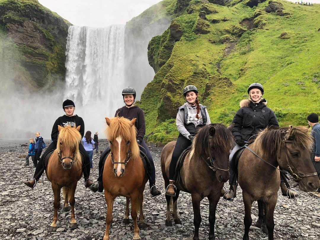 Horse rental Ytri-Skógar-Skogar必去景点