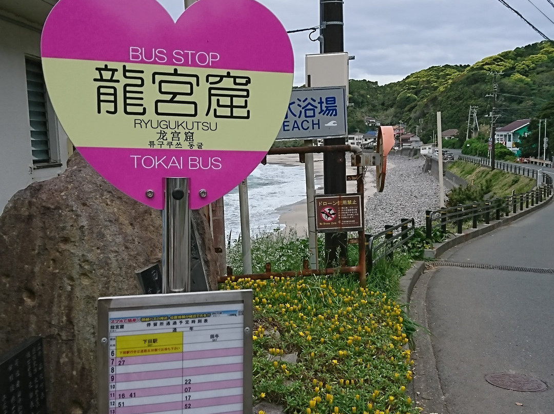 Ryugu Park景点图片