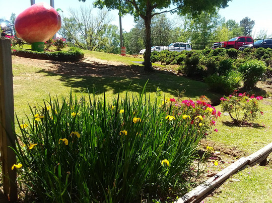 Peach Park-Clanton必去景点