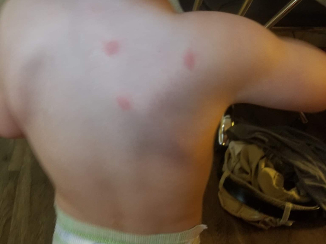 Econo Lodge Inn & Suites Joplin主图