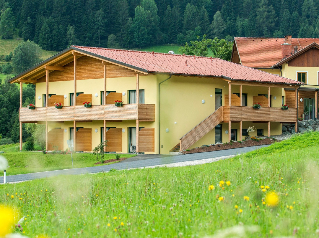 Gaal餐馆和美食-Gasthof Wachter