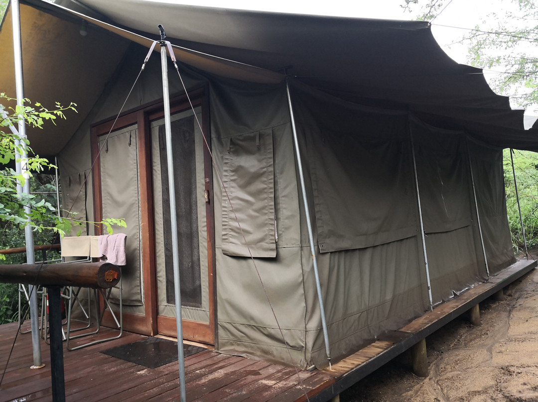 Manyeleti Safari Camp Lodge主图
