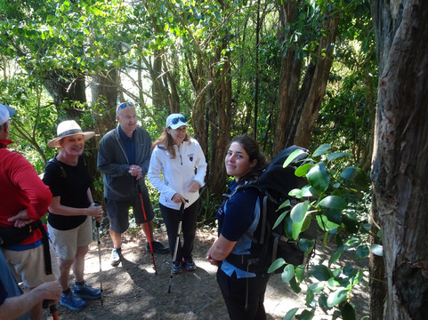 Wild Earth Adventures-但尼丁必去景点