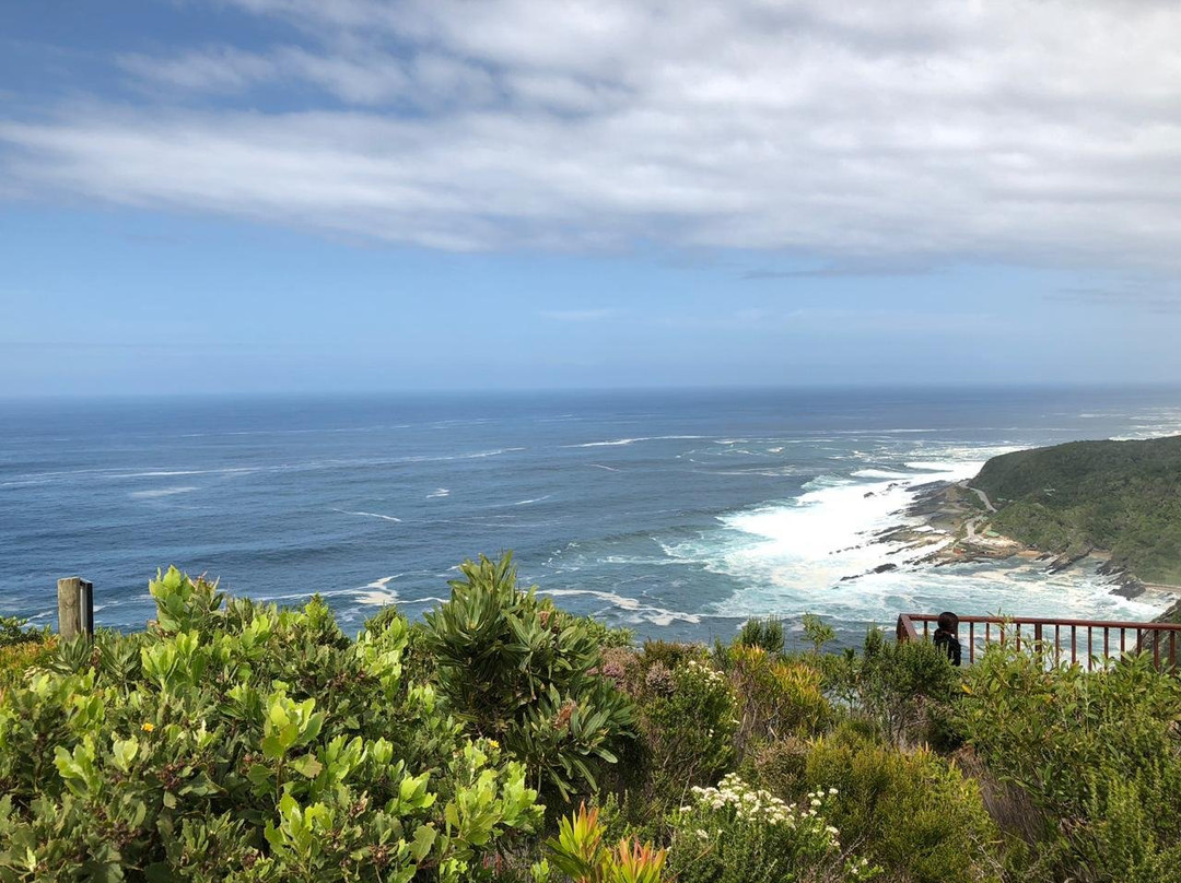 Tsitsikamma Adventure Land-暴风河必去景点
