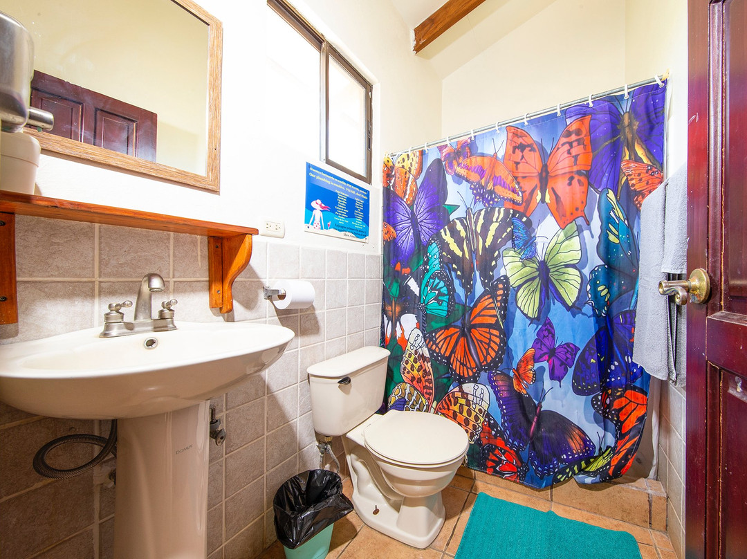 Hotel Diversion Tropical主图