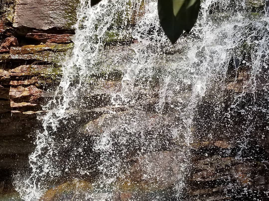 Glen Onoko Falls Trail景点图片