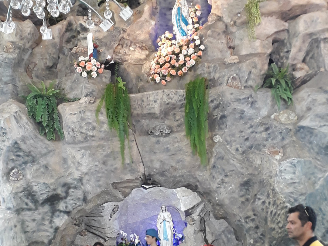 Nossa Senhora de Lourdes Grotto景点图片