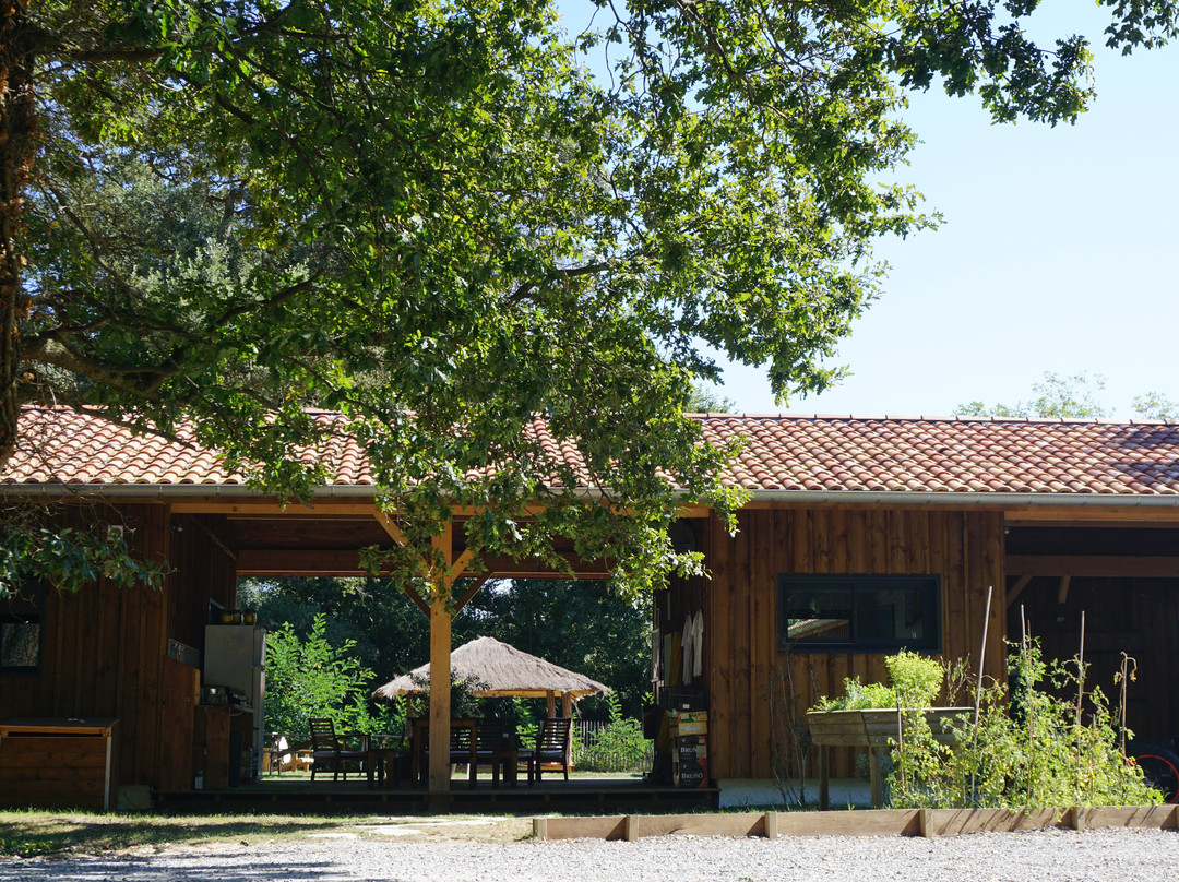Nature Surf Camp
