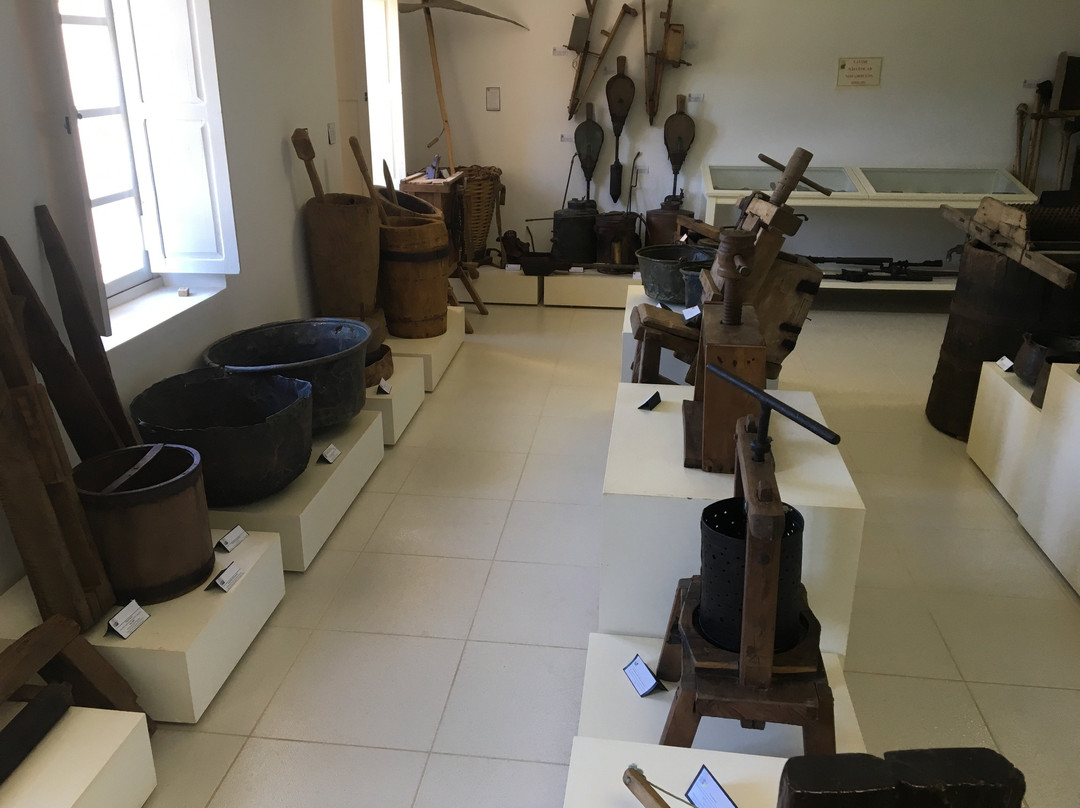 Italian Immigrant Museum Eduardo Marcuzzo景点图片