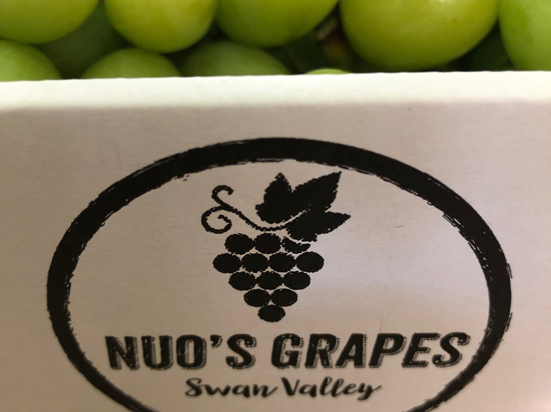 Nuo’s Grapes景点图片