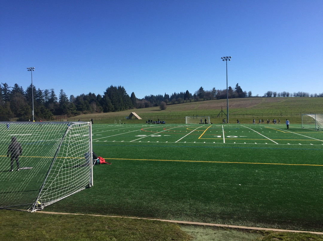 Hazelia Field-莱克奥斯韦戈必去景点