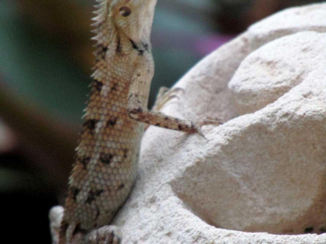 海伦吉利氛围度假村主图