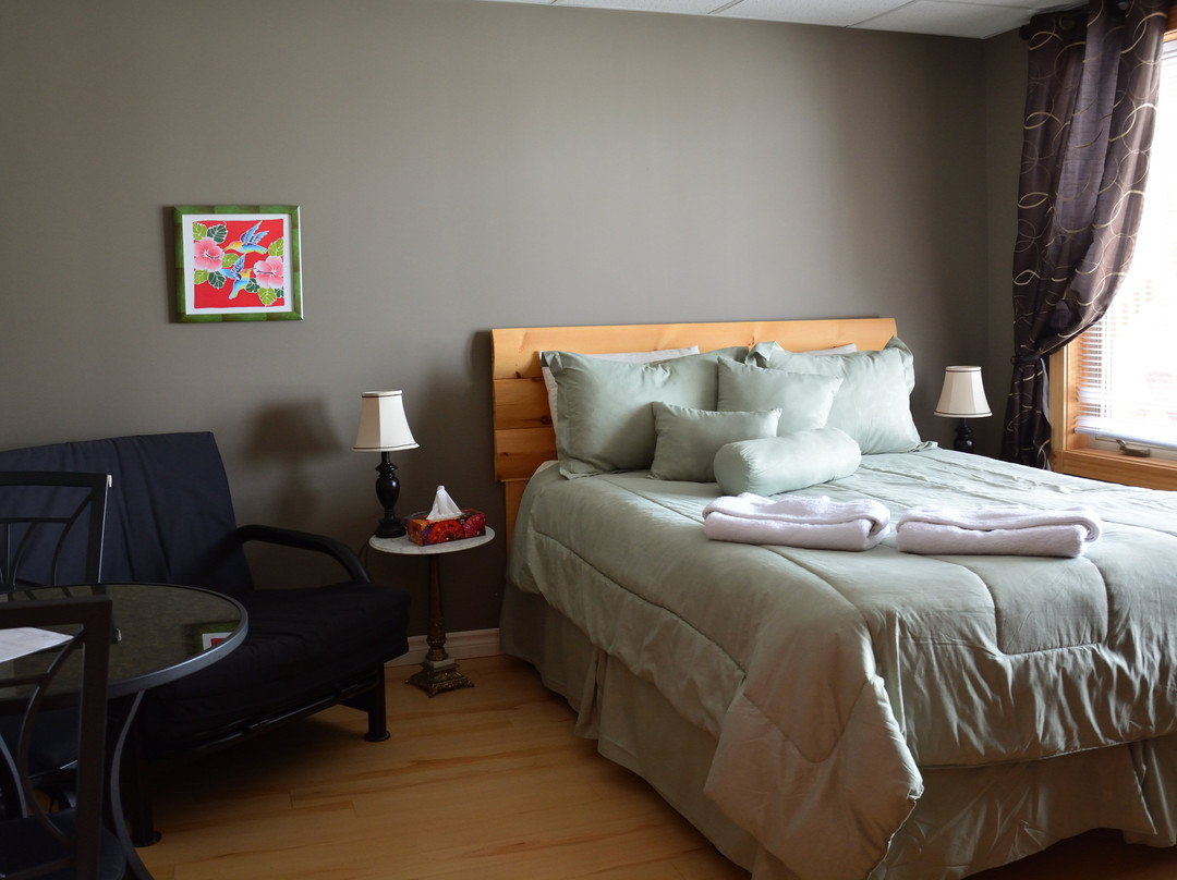 Chalet les Berges d'Alma B&B主图