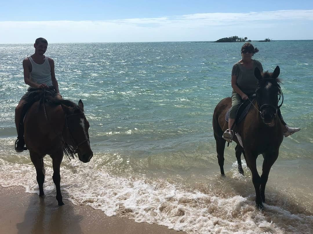 Happy Trails Stables-Coral Harbour必去景点