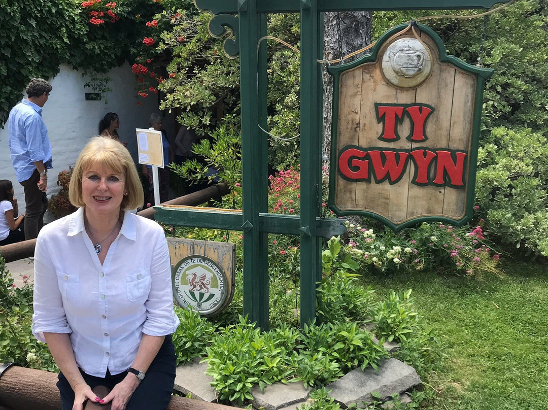 Ty Gwyn主图