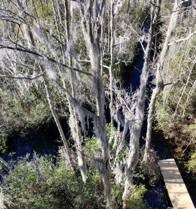 Okefenokee Heritage Center-Waycross必去景点