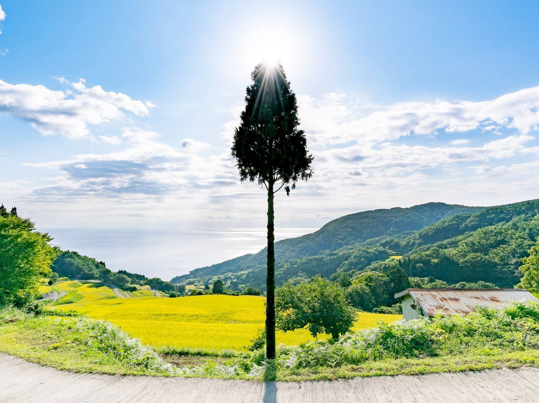 Iwakubi Shoryu Tanada-佐渡市必去景点