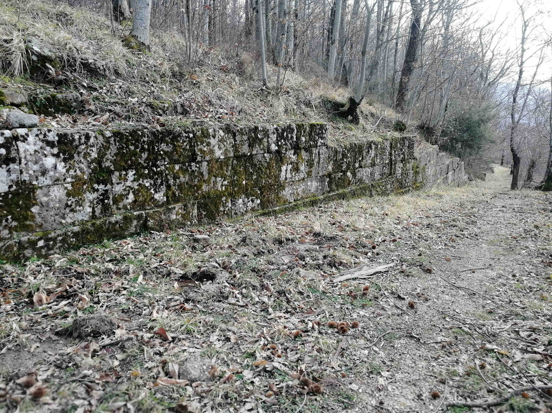 Parco archeologico della Civitella景点图片