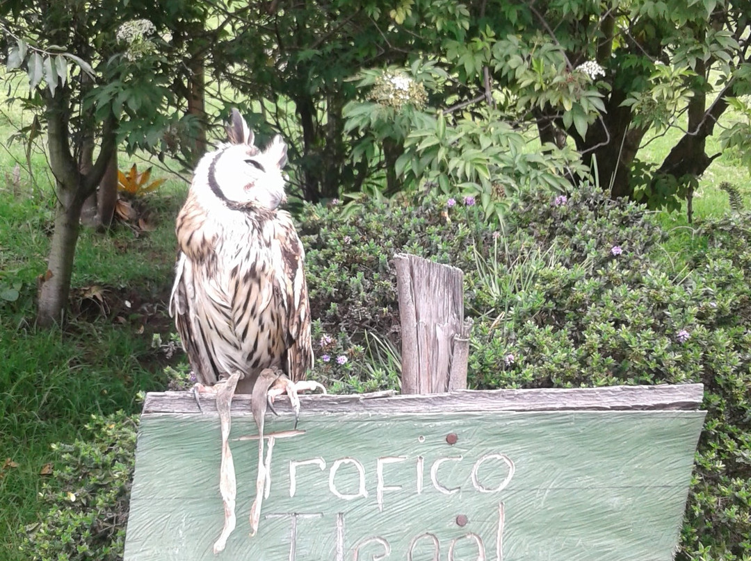 Bioparque La Reserva-Cota必去景点