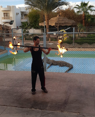 Crocodile Show-沙姆沙伊赫必去景点