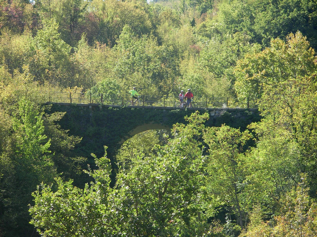 Umbria in Mountain Bike景点图片