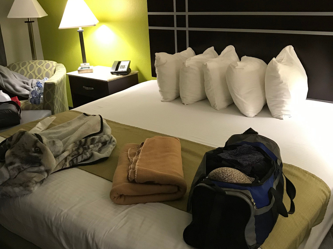 奥本/欧佩利卡贝斯特韦斯特酒店主图