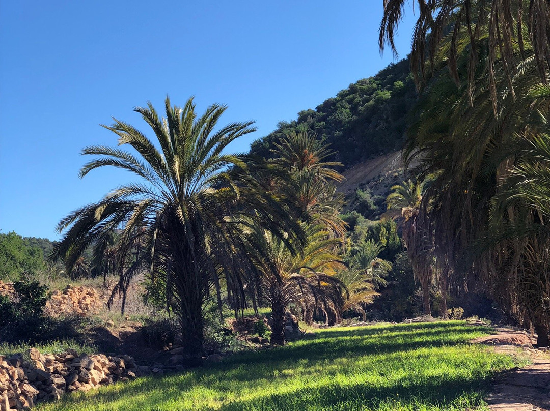 Tawada Hiking-奥瑞尔必去景点